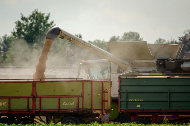 Graanteelt & spuittiming